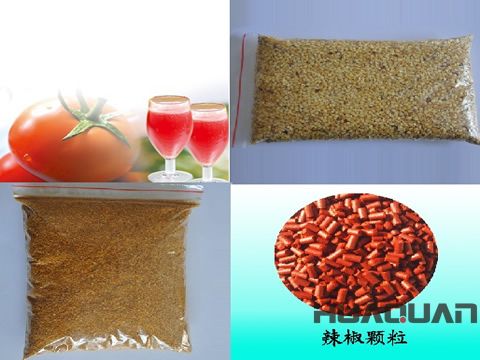 奔走在沙海、雪山的邊緣