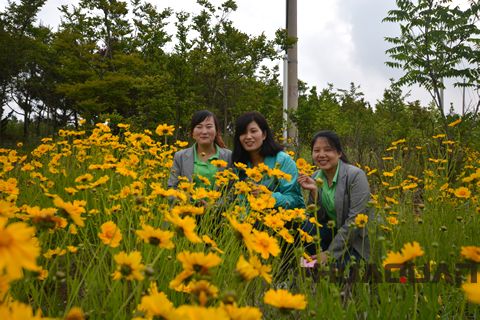 大乳山游記之一： 長(zhǎng)江路，讓心情在這里“撒歡撂跤”