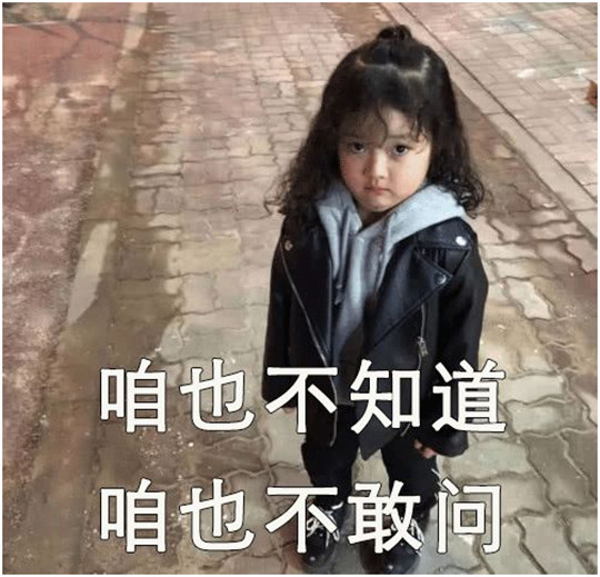 咱也不知道，華全400千瓦發(fā)電機組為啥發(fā)往浦東，咱也不敢問